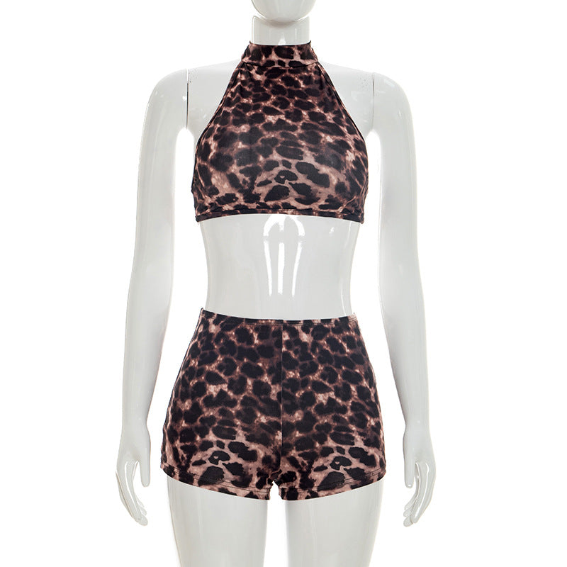 Leopard-print Halter Crop Top And High-waisted Shorts Set