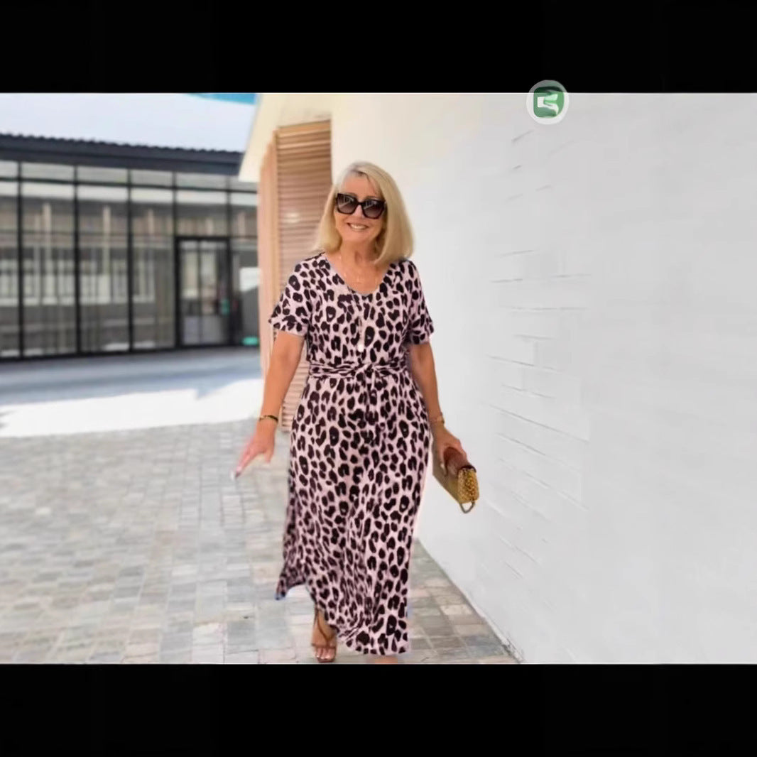 Women's Short Sleeve V-neck Leopard Print Printed Dress