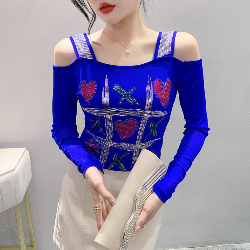 Women's Double-layer Ice Silk Net Yarn Long-sleeved Off-shoulder Blouse Top